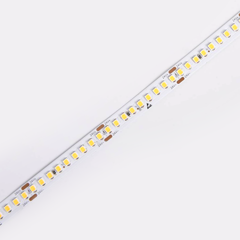 D8180-24V-10mm